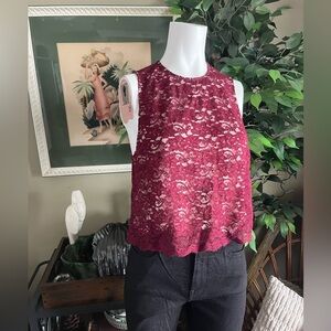 Babaton Lace Top